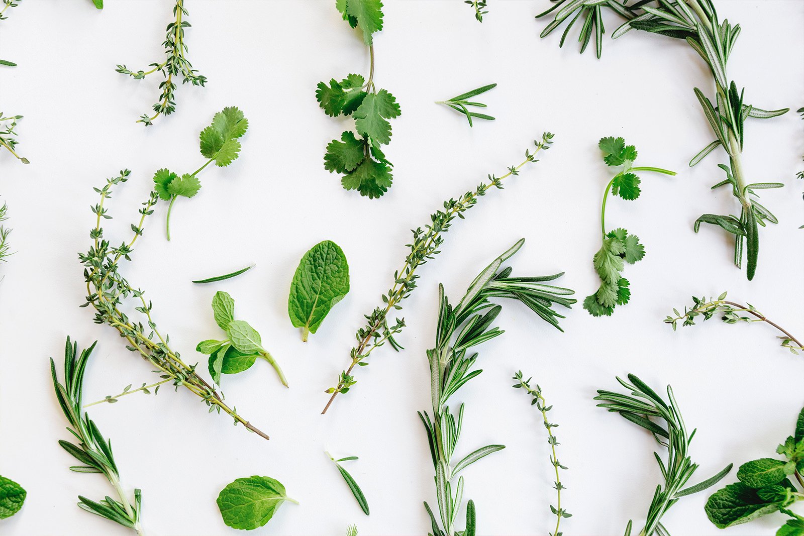 Italian Herbs on white countertop