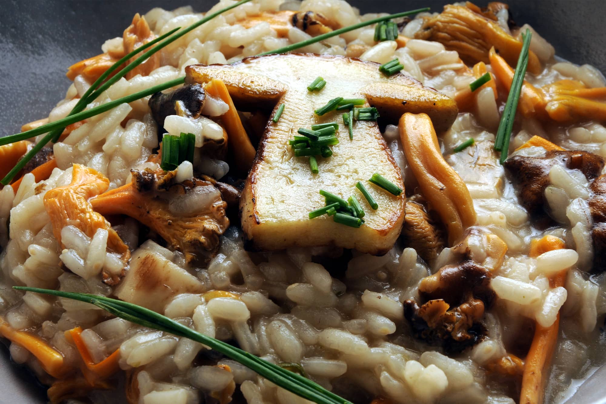 Close up of mushroom risotto